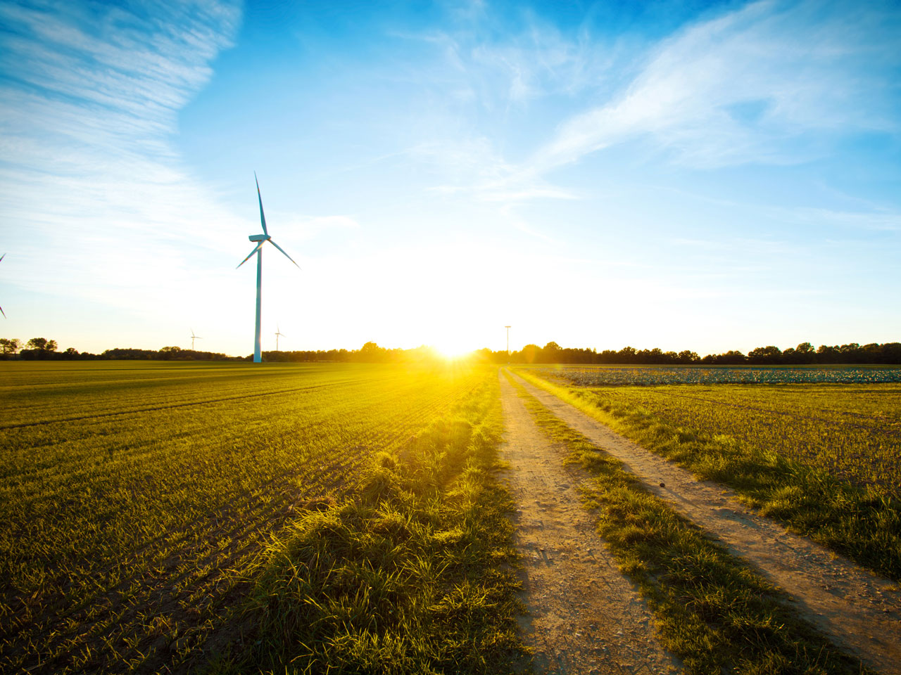Développement des énergies renouvelables - éolien