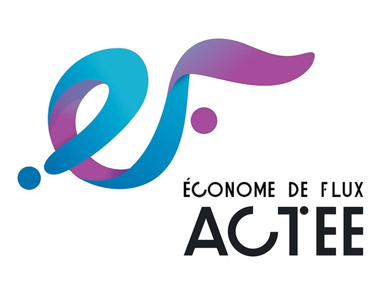 Logo économe de flux ACTEE